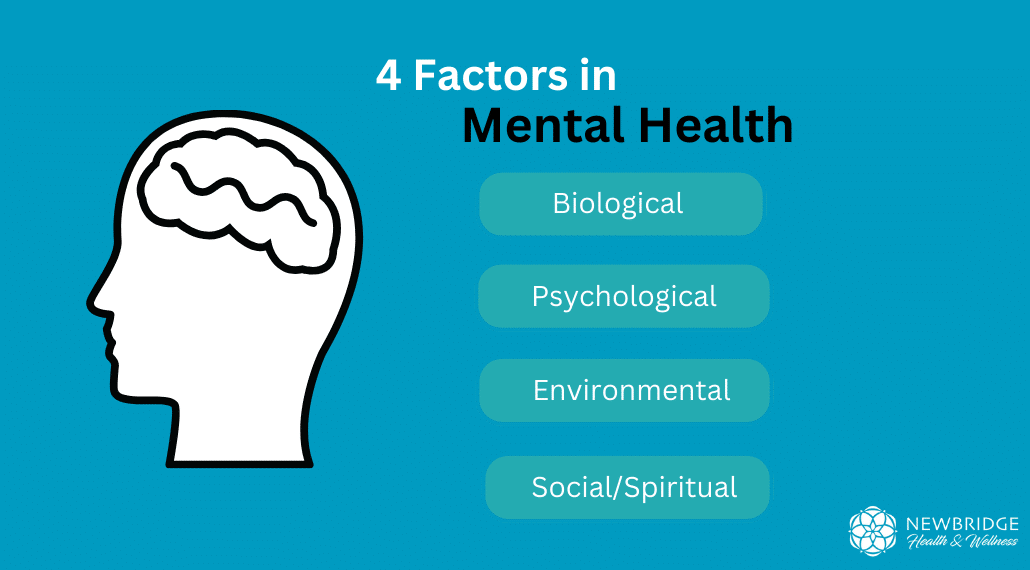 4 Factors in Mental Health: Biological, Psychological, Environmental, Social/Spiritual